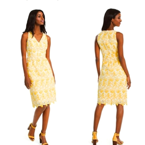 White House Black Market Dresses Black House White Market Feminine